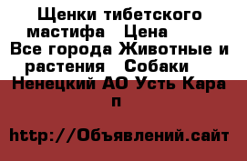 Щенки тибетского мастифа › Цена ­ 80 - Все города Животные и растения » Собаки   . Ненецкий АО,Усть-Кара п.